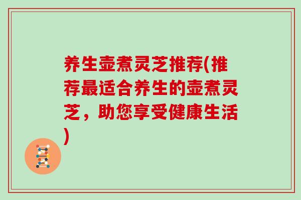 养生壶煮灵芝推荐(推荐最适合养生的壶煮灵芝，助您享受健康生活)