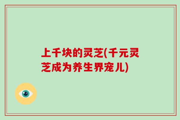 上千块的灵芝(千元灵芝成为养生界宠儿)