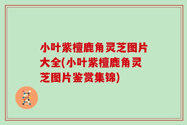 小叶紫檀鹿角灵芝图片大全(小叶紫檀鹿角灵芝图片鉴赏集锦)