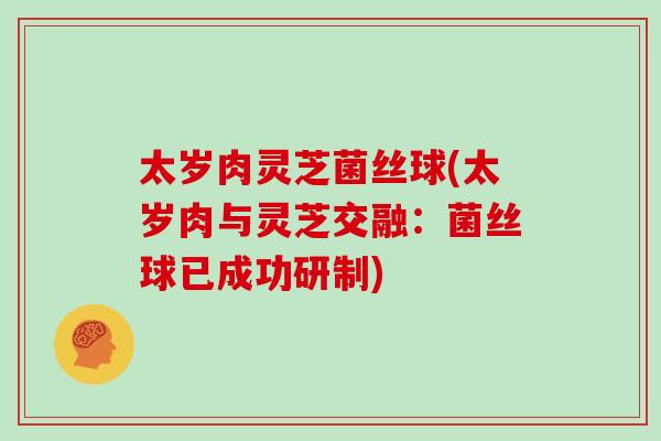 太岁肉灵芝菌丝球(太岁肉与灵芝交融：菌丝球已成功研制)