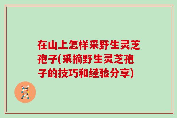 在山上怎样采野生灵芝孢子(采摘野生灵芝孢子的技巧和经验分享)
