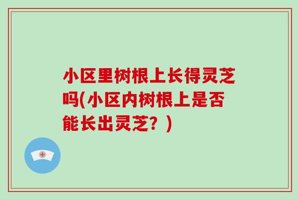 小区里树根上长得灵芝吗(小区内树根上是否能长出灵芝？)