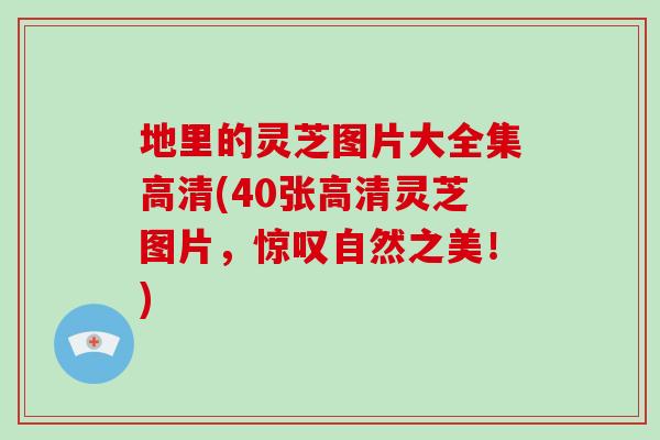地里的灵芝图片大全集高清(40张高清灵芝图片，惊叹自然之美！)