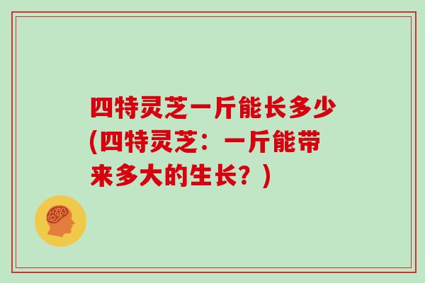 四特灵芝一斤能长多少(四特灵芝：一斤能带来多大的生长？)