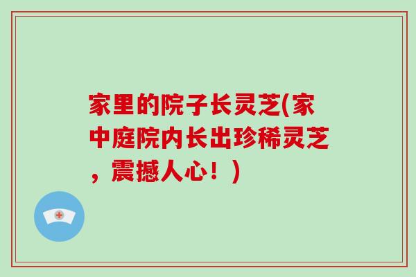 家里的院子长灵芝(家中庭院内长出珍稀灵芝,震撼人心!)-第1张图片-灵芝大师 家里的院子长灵芝(家中庭院内长出珍稀灵芝,震撼人心!)-第1张图片-灵芝大师