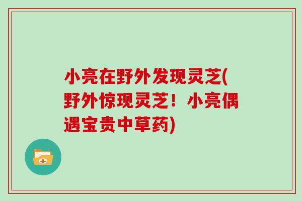 小亮在野外发现灵芝(野外惊现灵芝！小亮偶遇宝贵中草药)