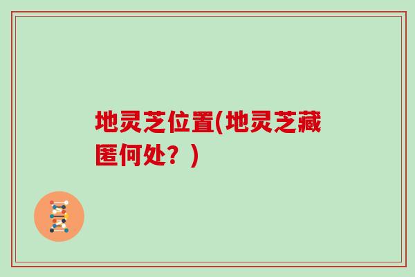 地灵芝位置(地灵芝藏匿何处?)-第1张图片-灵芝大师 地灵芝位置(地灵芝藏匿何处?)-第1张图片-灵芝大师