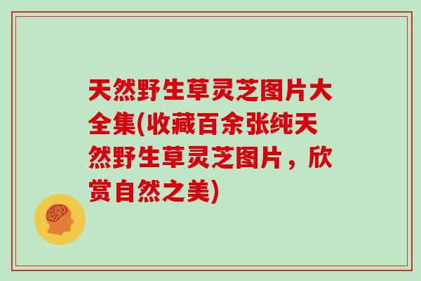 天然野生草灵芝图片大全集(收藏百余张纯天然野生草灵芝图片，欣赏自然之美)