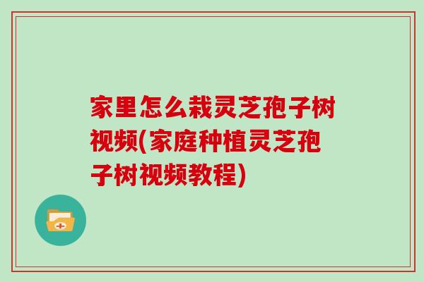 家里怎么栽灵芝孢子树视频(家庭种植灵芝孢子树视频教程)