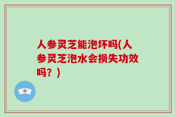 人参灵芝能泡坏吗(人参灵芝泡水会损失功效吗？)