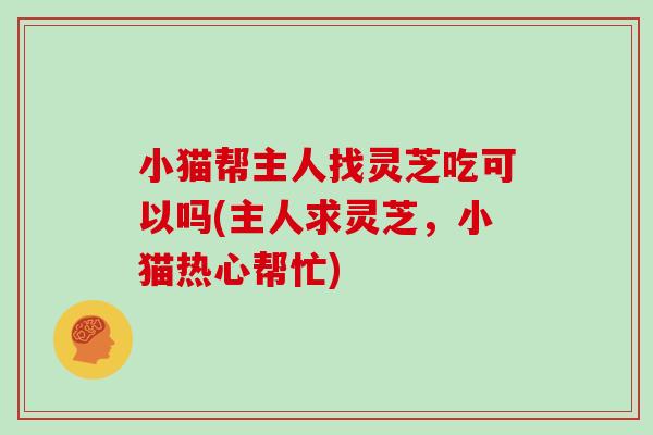 小猫帮主人找灵芝吃可以吗(主人求灵芝，小猫热心帮忙)