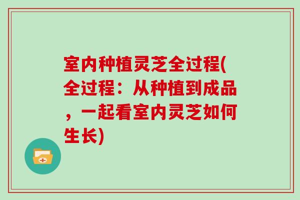 室内种植灵芝全过程(全过程：从种植到成品，一起看室内灵芝如何生长)