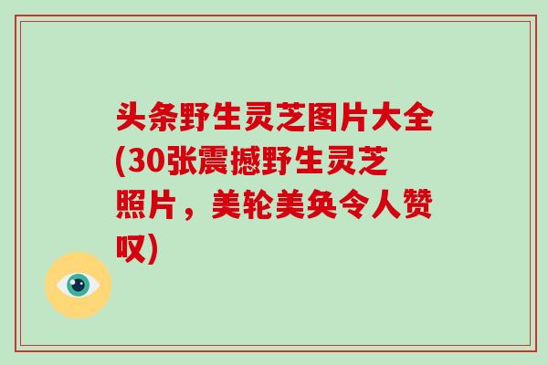 头条野生灵芝图片大全(30张震撼野生灵芝照片，美轮美奂令人赞叹)
