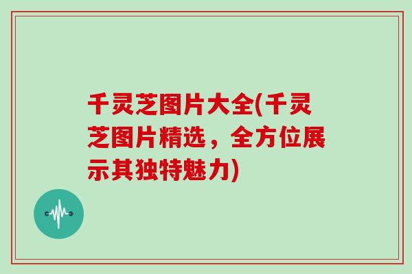 千灵芝图片大全(千灵芝图片精选，全方位展示其独特魅力)