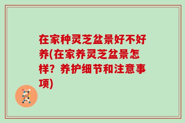 在家种灵芝盆景好不好养(在家养灵芝盆景怎样？养护细节和注意事项)