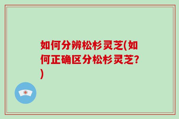 如何分辨松杉灵芝(如何正确区分松杉灵芝？)