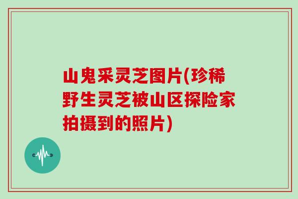 山鬼采灵芝图片(珍稀野生灵芝被山区探险家拍摄到的照片)