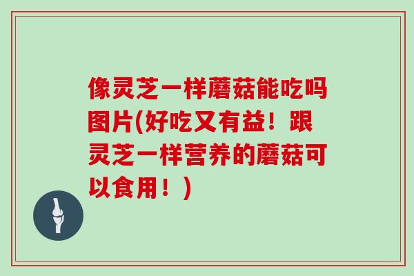 像灵芝一样蘑菇能吃吗图片(好吃又有益！跟灵芝一样营养的蘑菇可以食用！)