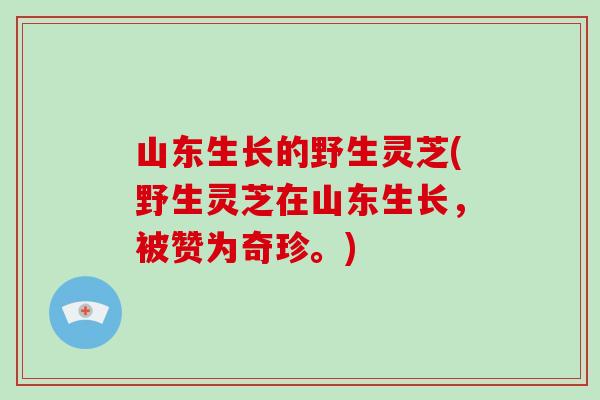 山东生长的野生灵芝(野生灵芝在山东生长，被赞为奇珍。)