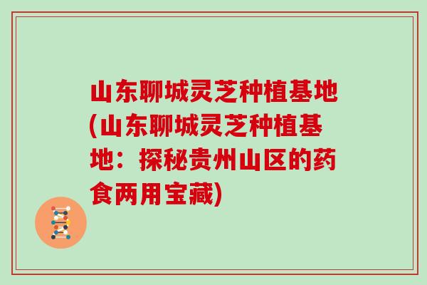 山东聊城灵芝种植基地(山东聊城灵芝种植基地：探秘贵州山区的药食两用宝藏)
