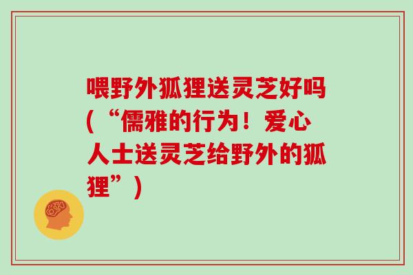 喂野外狐狸送灵芝好吗(“儒雅的行为！爱心人士送灵芝给野外的狐狸”)