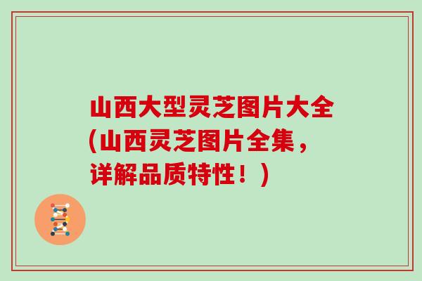 山西大型灵芝图片大全(山西灵芝图片全集，详解品质特性！)