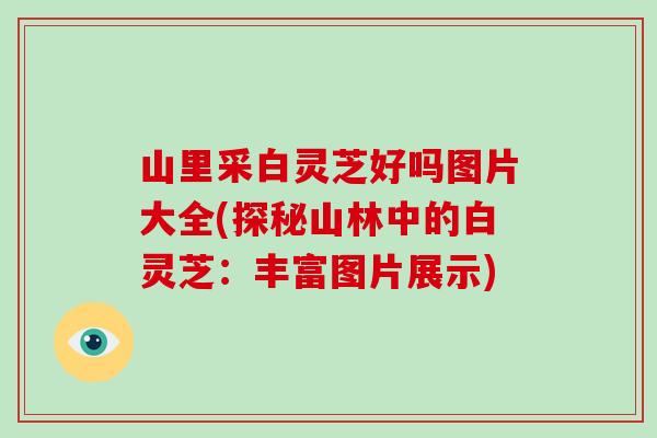 山里采白灵芝好吗图片大全(探秘山林中的白灵芝：丰富图片展示)