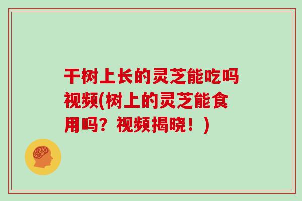 干树上长的灵芝能吃吗视频(树上的灵芝能食用吗?视频揭晓!)-第1张图片-灵芝大师 干树上长的灵芝能吃吗视频(树上的灵芝能食用吗?视频揭晓!)-第1张图片-灵芝大师