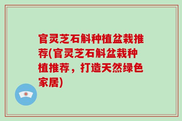 官灵芝石斛种植盆栽推荐(官灵芝石斛盆栽种植推荐，打造天然绿色家居)
