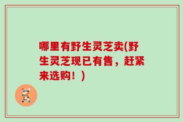 哪里有野生灵芝卖(野生灵芝现已有售，赶紧来选购！)