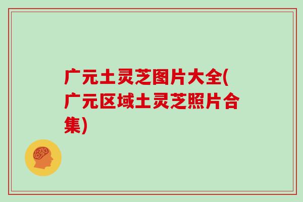 广元土灵芝图片大全(广元区域土灵芝照片合集)