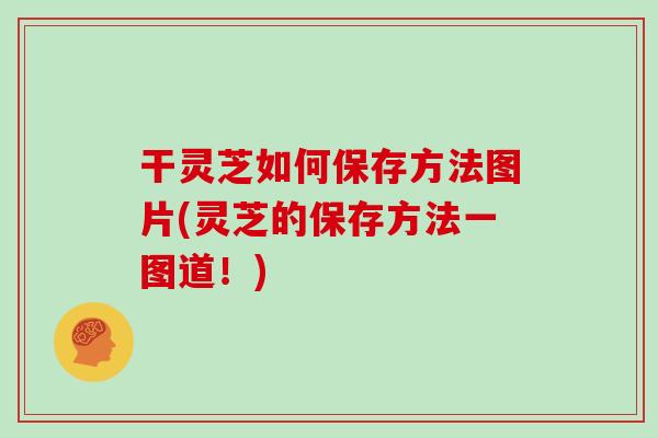 干灵芝如何保存方法图片(灵芝的保存方法一图道！)