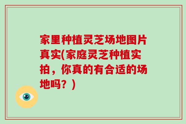 家里种植灵芝场地图片真实(家庭灵芝种植实拍，你真的有合适的场地吗？)