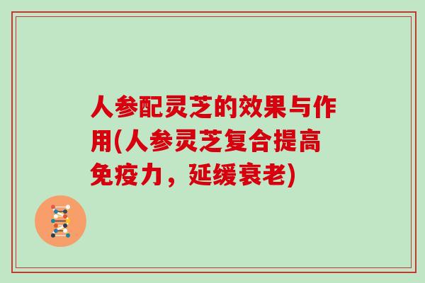 人参配灵芝的效果与作用(人参灵芝复合提高免疫力，延缓衰老)