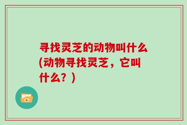 寻找灵芝的动物叫什么(动物寻找灵芝，它叫什么？)