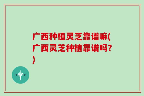 广西种植灵芝靠谱嘛(广西灵芝种植靠谱吗？)