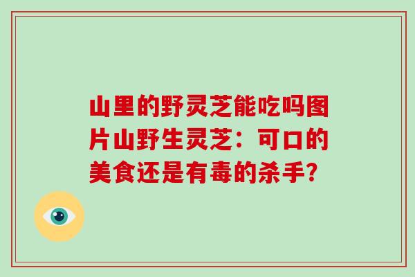 山里的野灵芝能吃吗图片山野生灵芝:可口的美食还是有毒的杀手?-第1张图片-灵芝大师 山里的野灵芝能吃吗图片山野生灵芝:可口的美食还是有毒的杀手?-第1张图片-灵芝大师