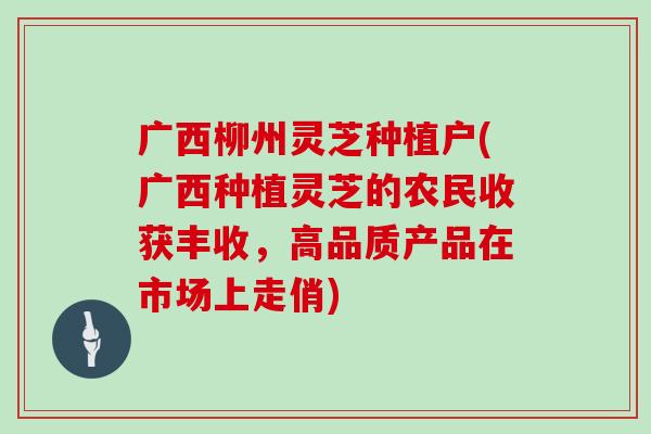 广西柳州灵芝种植户(广西种植灵芝的农民收获丰收,高品质产品在市场上走俏)-第1张图片-灵芝大师 广西柳州灵芝种植户(广西种植灵芝的农民收获丰收,高品质产品在市场上走俏)-第1张图片-灵芝大师
