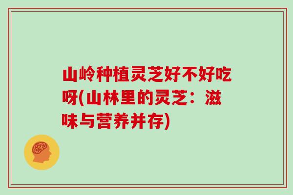 山岭种植灵芝好不好吃呀(山林里的灵芝：滋味与营养并存)