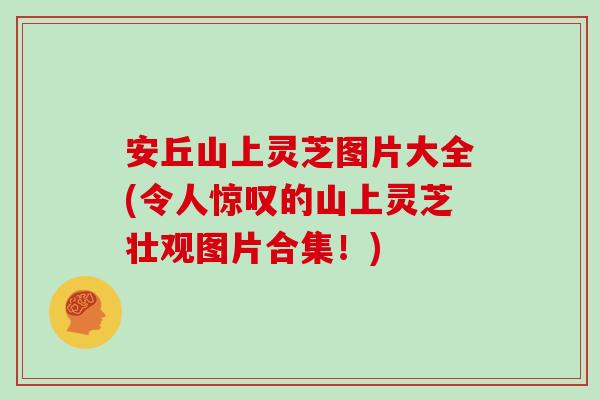 安丘山上灵芝图片大全(令人惊叹的山上灵芝壮观图片合集！)