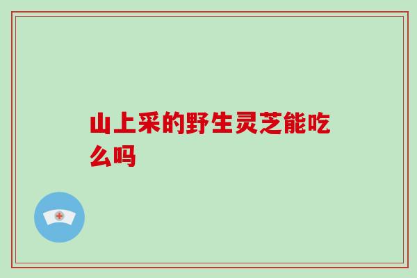 山上采的野生灵芝能吃么吗