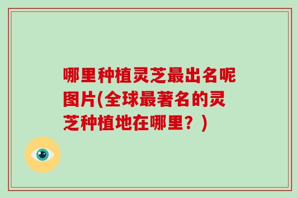哪里种植灵芝最出名呢图片(全球最著名的灵芝种植地在哪里？)-第1张图片-灵芝大师
