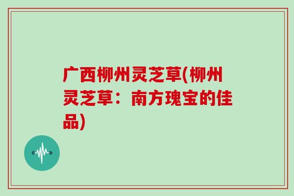 广西柳州灵芝草(柳州灵芝草：南方瑰宝的佳品)