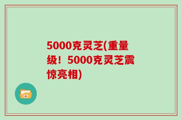 5000克灵芝(重量级！5000克灵芝震惊亮相)