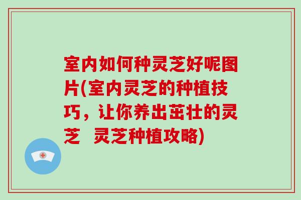 室内如何种灵芝好呢图片(室内灵芝的种植技巧，让你养出茁壮的灵芝  灵芝种植攻略)