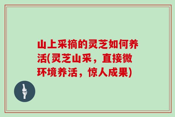 山上采摘的灵芝如何养活(灵芝山采，直接微环境养活，惊人成果)