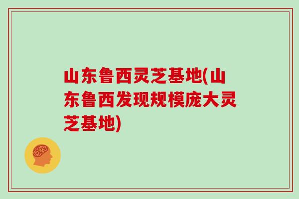 山东鲁西灵芝基地(山东鲁西发现规模庞大灵芝基地)