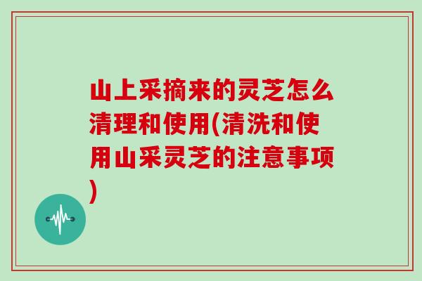 山上采摘来的灵芝怎么清理和使用(清洗和使用山采灵芝的注意事项)