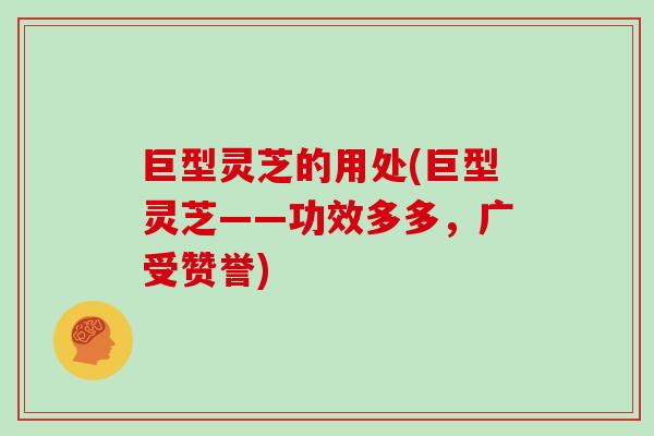 巨型灵芝的用处(巨型灵芝——功效多多，广受赞誉)