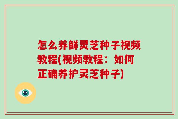 怎么养鲜灵芝种子视频教程(视频教程:如何正确养护灵芝种子)-第1张图片-灵芝大师 怎么养鲜灵芝种子视频教程(视频教程:如何正确养护灵芝种子)-第1张图片-灵芝大师